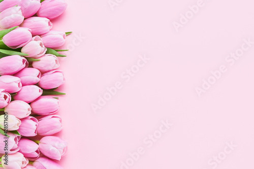 Pink tulips flower on a pink background, selective focus. Mothers Day, birthday celebration concept.
