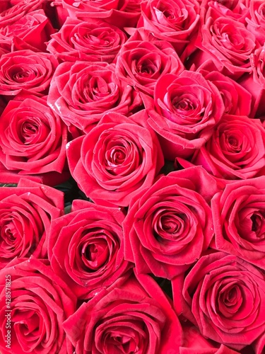 red roses background