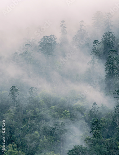Misty mountains in sunrise 