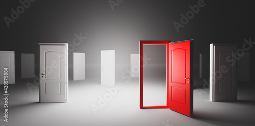 Fotografía Choose open door. Choise and decision in life