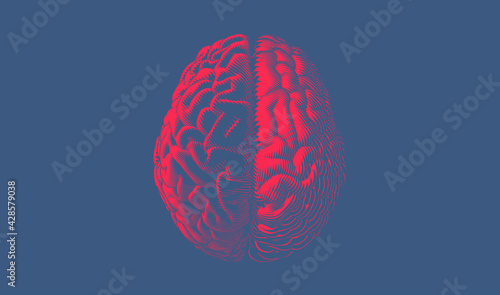 Red engraving hemispheres brain top view illustration on blue BG