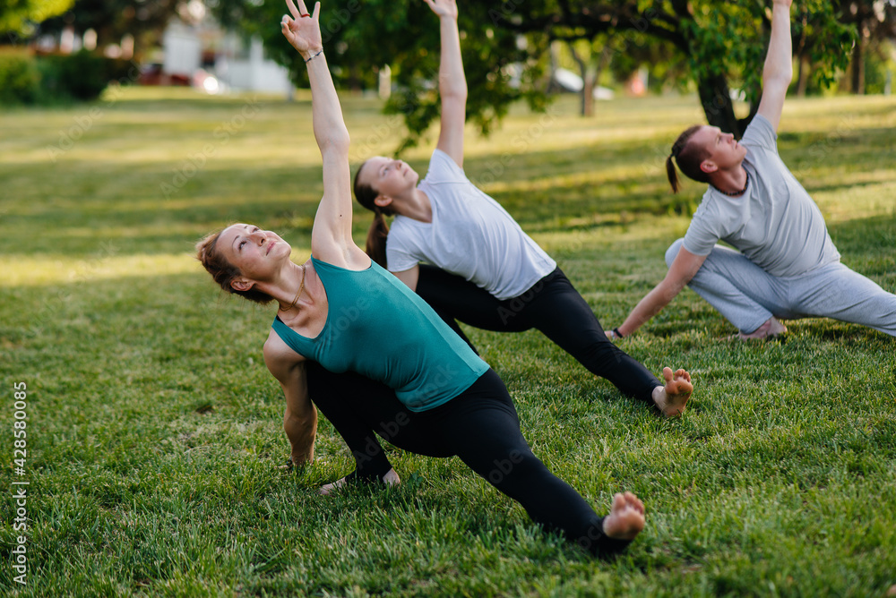 A group of people do yoga in the Park at sunset. Healthy lifestyle, meditation and Wellness A group of people do yoga in the Park at sunset. Healthy lifestyle, meditation and Wellness