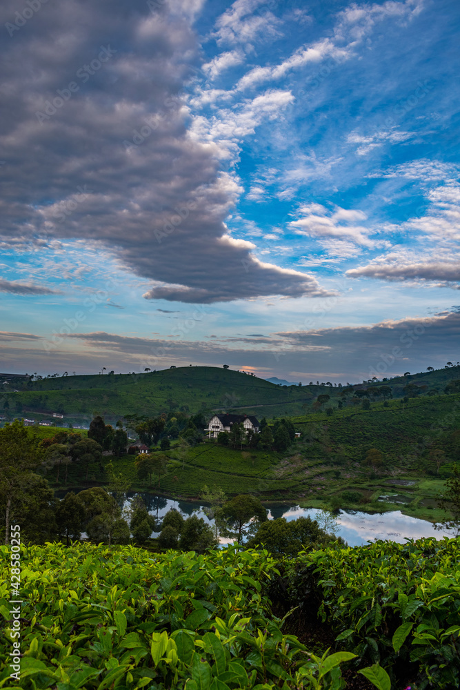 landscape with lake