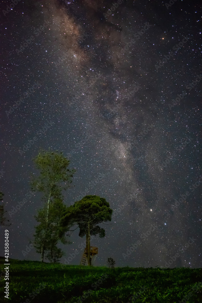 starry night sky
