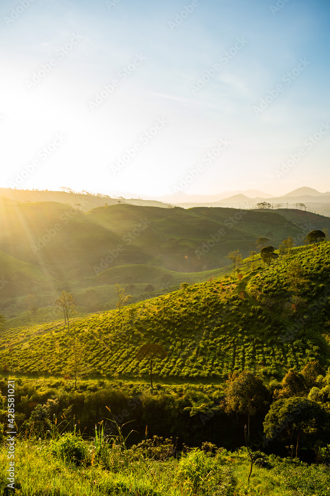 landscape in the mountains