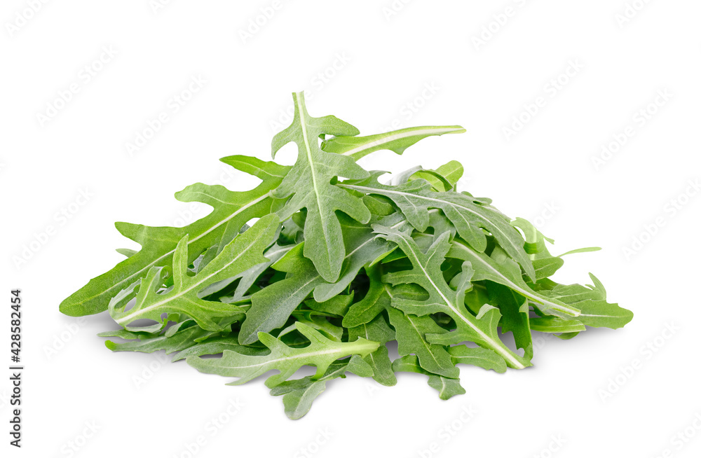 arugula isolated on white background arugula isolated on white background