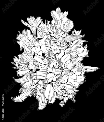 illustration of a bouquet of alstroemeria flowers, vector graphic monochrome illustration, botanical sketch for postcard, posters, notebooks. photo