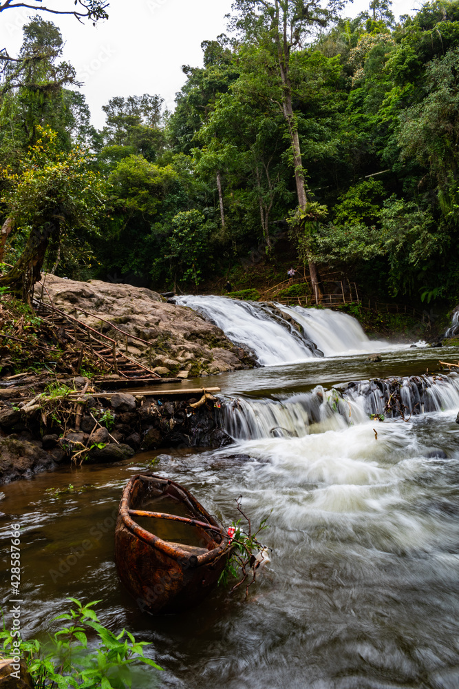 river in the forest