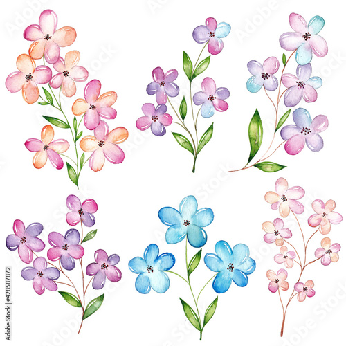 Watercolor flowers set, cherry blossom © DesignToonsy