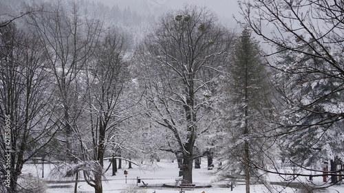 Zima w Polskich górach w Beskidzie śląskim uderzyła w kwietniu 2021. Zdjęcia w Wiśle nad Wisłą. Ośnieżone drzewa, i otoczenie.  © Sławek