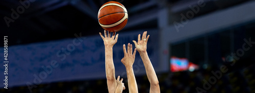 Quadro su tela Professional basketball players in action