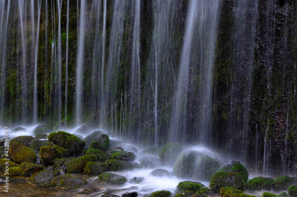 白糸の滝 白糸の滝