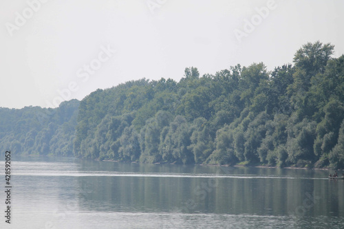 Natural view of a foggy calm lake with trees in the background photo