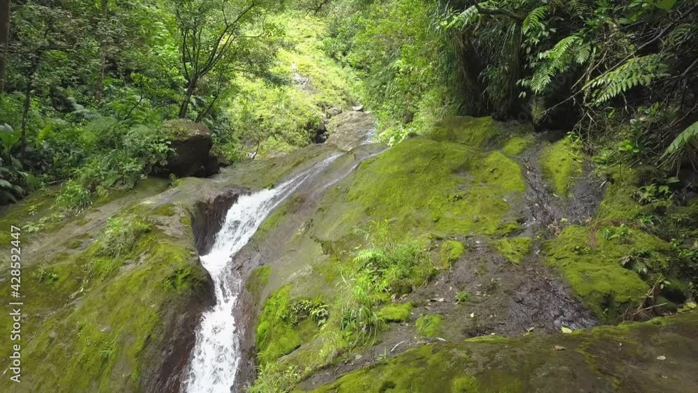 Rainforest - Small creek with waterfall and jugnle plants. Drone Flight. Rainforest - Small creek with waterfall and jugnle plants. Drone Flight.