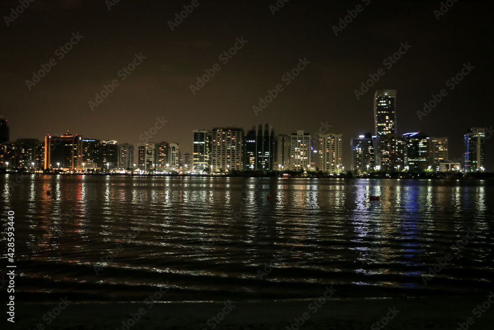 Fototapeta premium city skyline at night