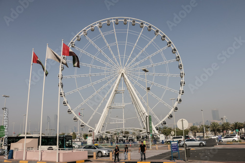 ferris wheel in the city