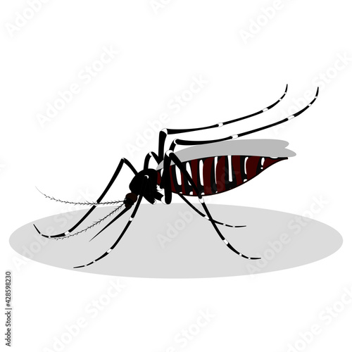 Mosquitoes carry serious diseases to humans.