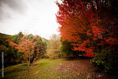 Pirianda Gardens in Victoria Australia