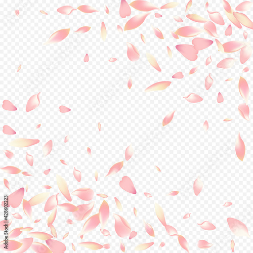 Purple Rosa Vector Transparent Background. Flower