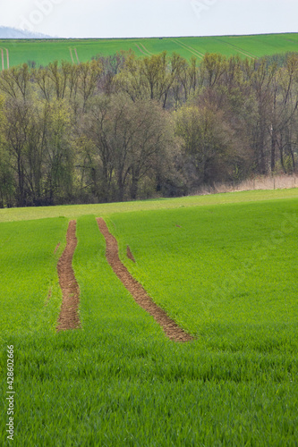 Tracker Spuren im Feld