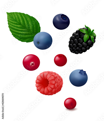 Single fruits of raspberry, blackberry, bilberry and cranberry, two blueberries and lingonberries with green leaf hang in the air. Isolated on white background. Realistic vector illustration.