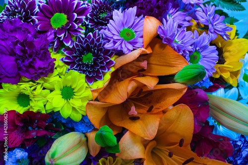 Colores florares photo