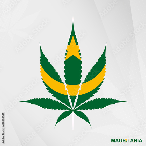 Flag of Mauritania in Marijuana leaf shape. The concept of legalization Cannabis in Mauritania.