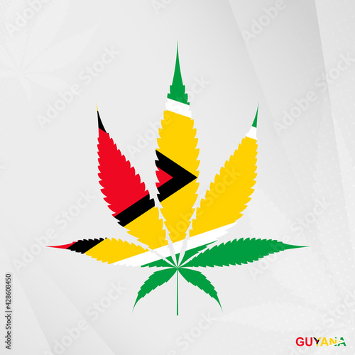 Flag of Guyana in Marijuana leaf shape. The concept of legalization Cannabis in Guyana.