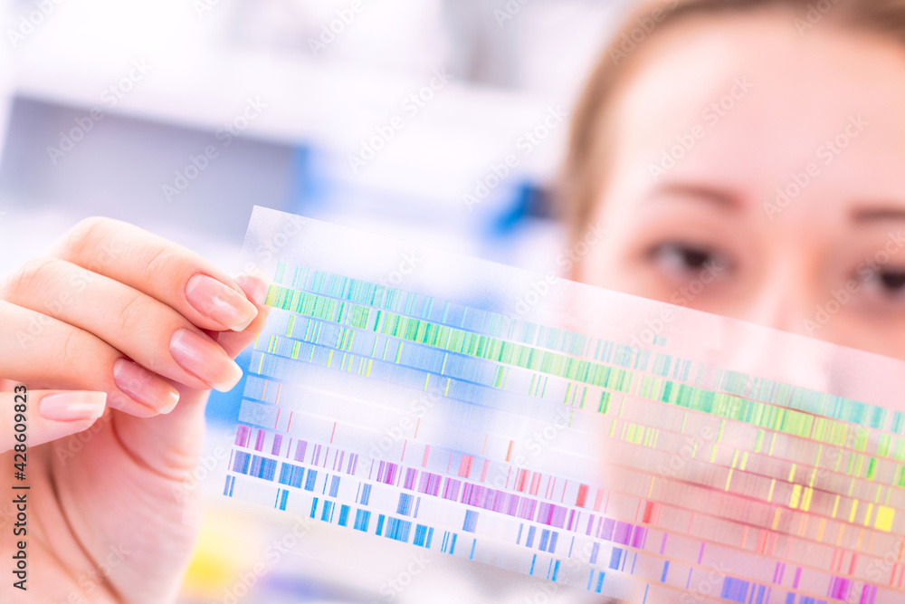 Young woman examines a spectroscopy picture in a quantum physics ...