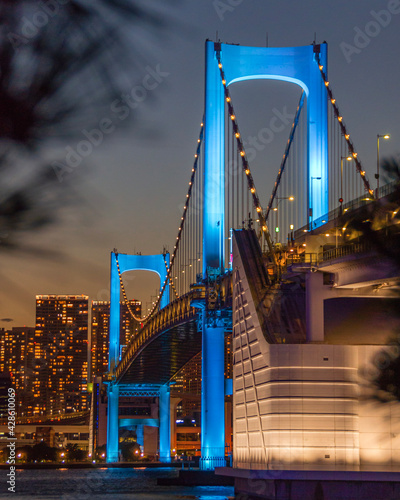 Cityscape view of Tokyo Bay and Rainbow bridge at Sunset