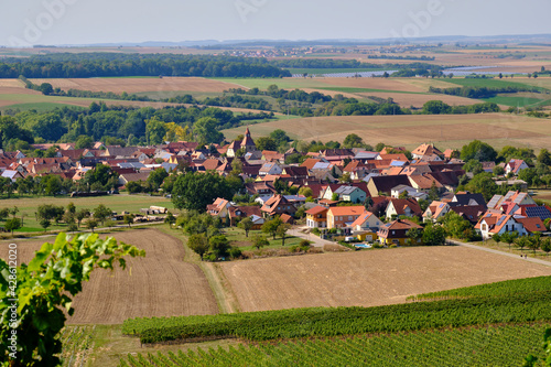 Blick von den Weinbergen auf den Winzerort Bullenheim, Markt Ippesheim, Landkreis Neustadt a.d. Aisch-Bad Windsheim, Mittelfranken, Franken, Bayern, Deutschland