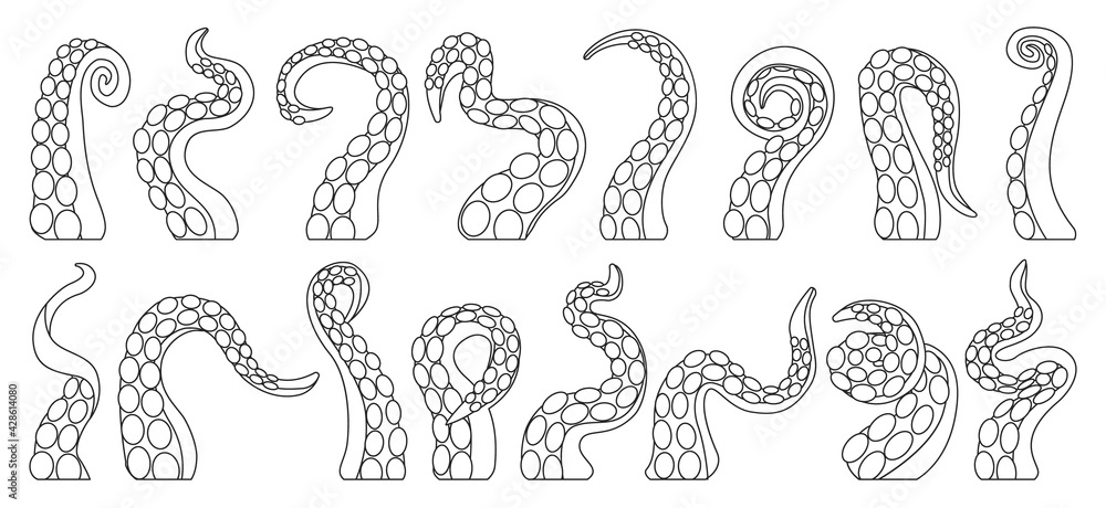 Octopus of tentacle isolated outline icon. Sea squid vector outline set ...