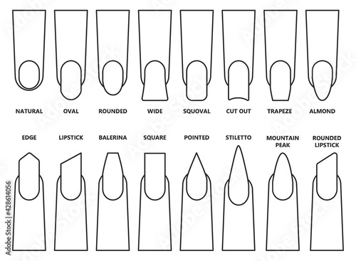 Shape nail vector illustration on white background. Isolated outline set icon fingernail. Vector outline set icon shape nail.