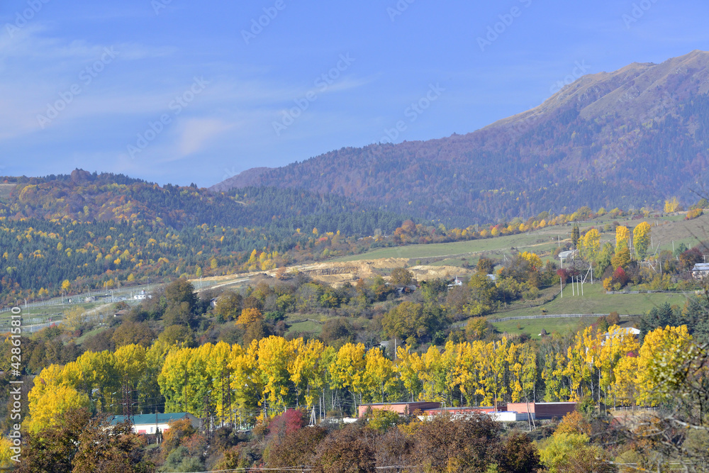 Golden autumn in the Caucasus mountains