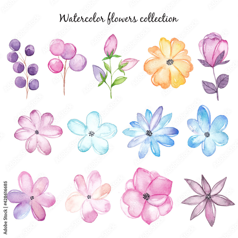 Watercolor flowers set Watercolor flowers set