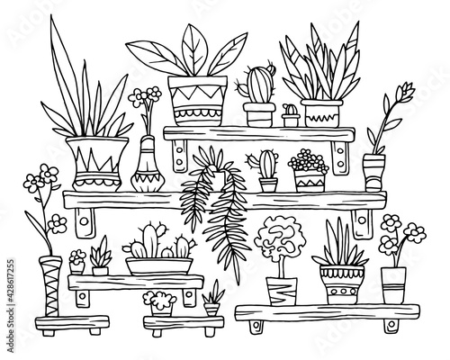 Vector black and white picture coloring antistress home flowers, pots, shelves. illustration for coloring book, wallpaper, posters, stickers, design.
