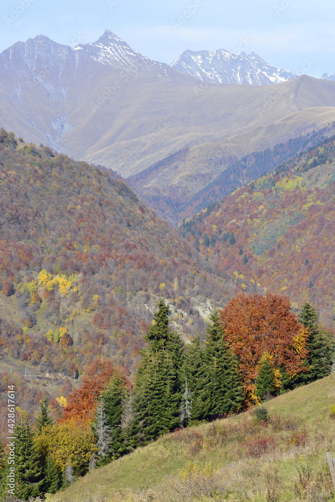 Naklejka premium Golden autumn in the Caucasus mountains