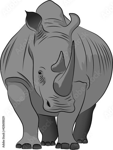rhino on white background