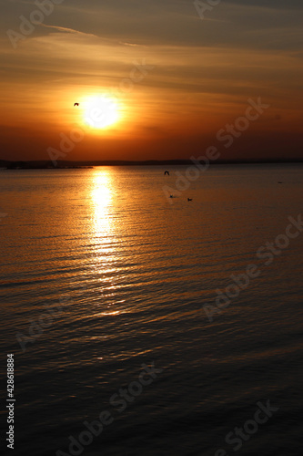sunset on the water, lake, seagulls flying © Олька Палто