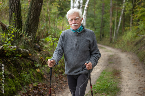 Handsome elderly man enjoying his nordic walking workout