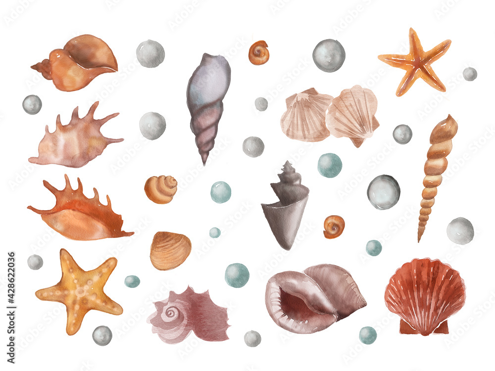 Watercolor set of isolated marine objects, shells and pearl, starfish, bubbles on a white background Watercolor set of isolated marine objects, shells and pearl, starfish, bubbles on a white background