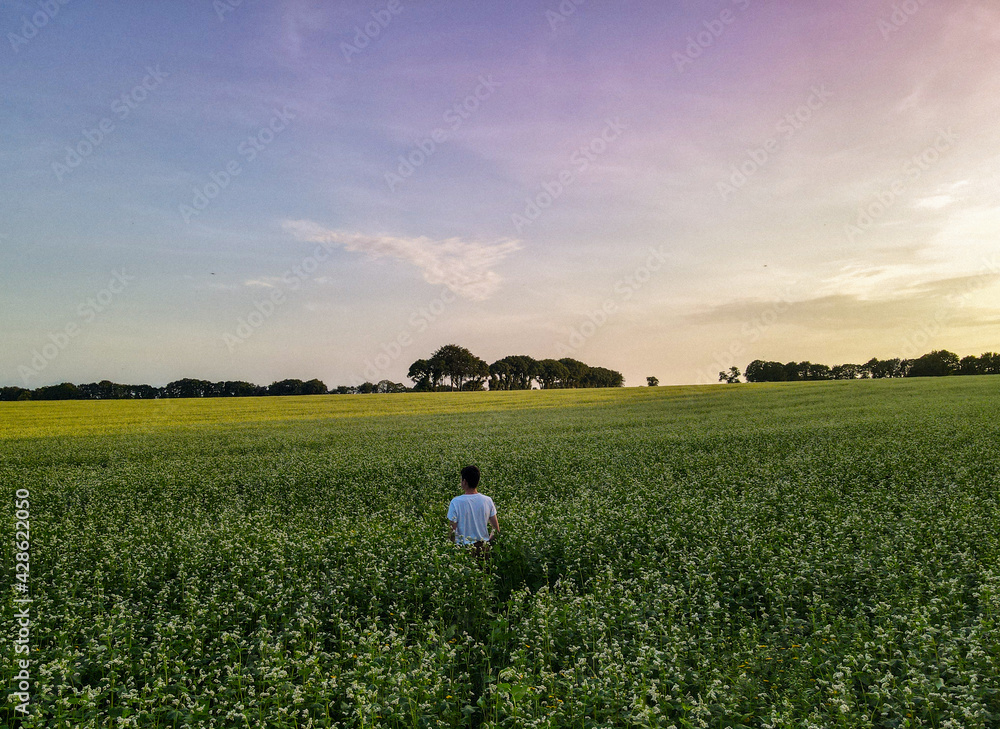 Fototapeta premium Seul face à l'horizon 