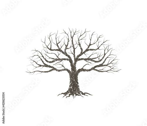 dry tree vector illustrations isolated on white