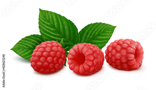 Three lying raspberry fruits with green leaves. Isolated on white background. Realistic vector illustration.