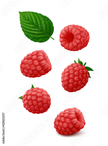 Set of single raspberry fruits from different sides with green leaf hang in the air. Isolated on white background. Realistic vector illustration.