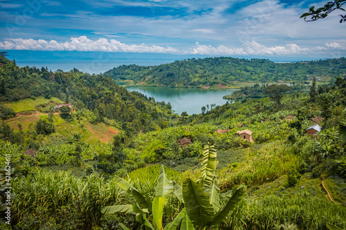 Fototapeta Naklejka Na Ścianę i Meble -  Fields by lake Kivu, Rwanda