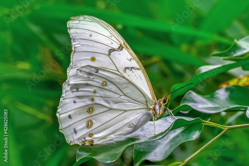 Canvas Print Macro shots, Beautiful nature scene