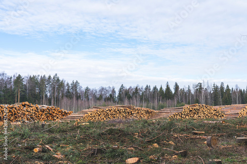 deforestation for roads, wood harvesting, wood as a renewable biological resource, deforestation area for highways