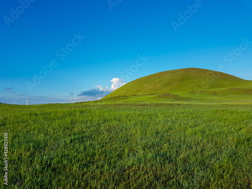 A panoramic view on a hilly landscape of Xilinhot in Inner Mongolia. Endless grassland with a few wildflowers between. Blue sky with thick  white clouds. Higher hills in the back. Mongolian grassland