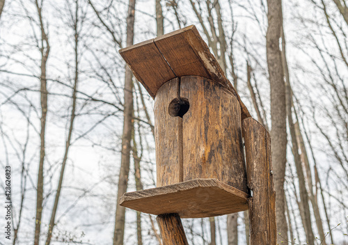 Birdhouse for birds in the forest.